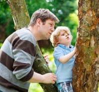 Vater ermuntert Sohn, auf Baum zu klettern