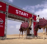 Camel-Power-Test von Nissan