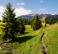 Weg zum Berg 