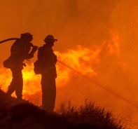 Waldbrand (Symbolbild)