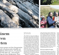 Der Bericht in der NZZ