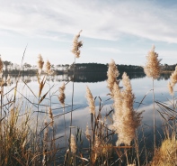 Die Ruhe am See geniessen.