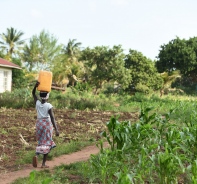 Afrikanerin transportiert Wasser