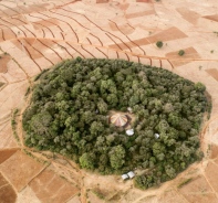 Kirche umringt von einem Wald in thiopien