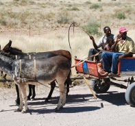 Eselkutsche in Westafrika